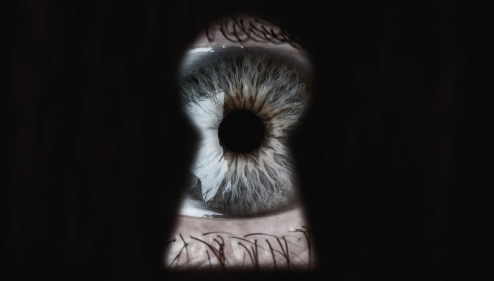 South Africa’s spy bill