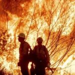 Pierre Poilievre Focuses on Ending Carbon Price Amid Political Shifts in Canada