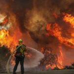 AfD Co-Leader Alice Weidel Endorses Controversial “Remigration” Policy Ahead of German Elections