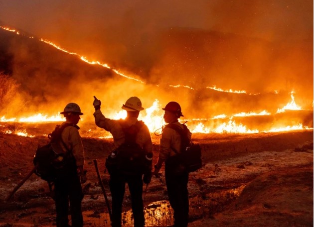 Los Angeles Fires