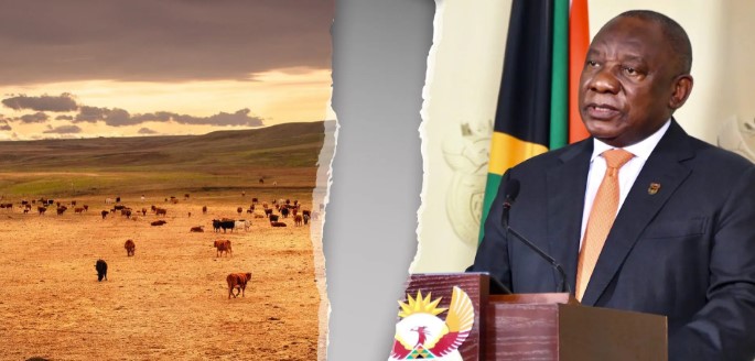 South Africa’s Expropriation Bill Signed into Law: A New Era for Land Reform, or a Political Gesture?