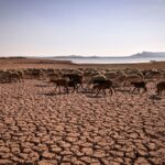 The Club Of Rome’s Influence On The United Nations’ Agenda 2030