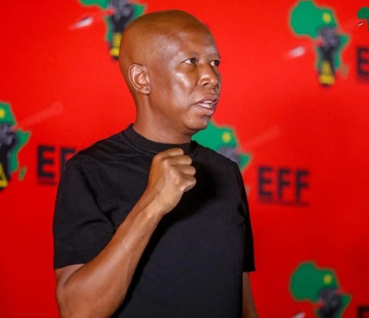 Julius Malema Criticizes Rwandan President Kagame’s Actions in DRC and South Africa