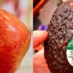 Hungarian FM Criticizes Macron’s Ukraine Summit as Gathering of ‘Warmongers’