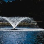 Growing Outrage Over AfriForum and Solidarity’s Remarks During Visit to the White House