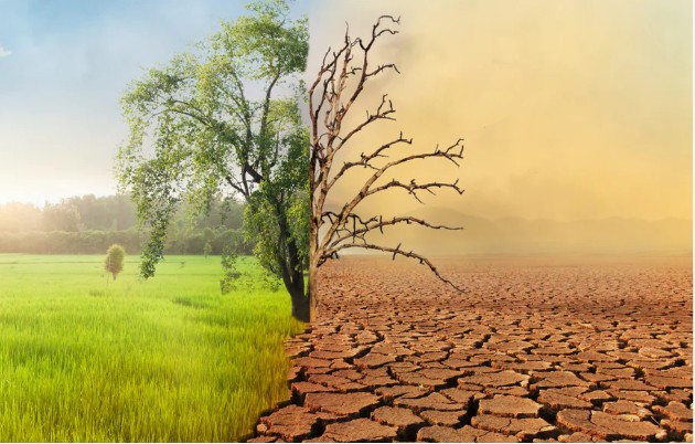 US Withdraws from $9.3 Billion Climate Deal with Developing Nations