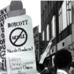 Egg Prices Plummet After Trump Unveiled Plan to Reverse Biden’s Bird Flu Mess