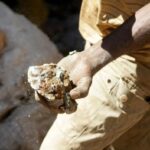 Orban Declares War on Soros Influence in Brussels