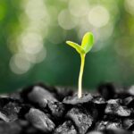 Ursula Von Der Leyen and Accelerated Euroscepticism