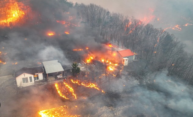 South Korea Wildfires: 24 Dead as Devastating Blazes Rage Across the Southeast