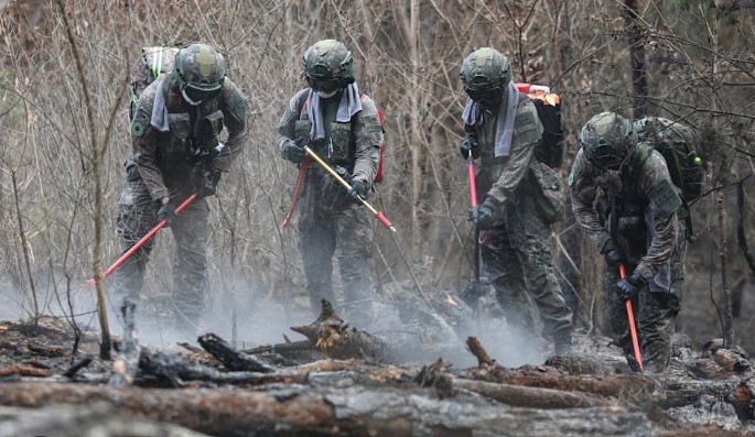 South Korea Struggles to Contain Wildfires That Have Killed 27 People