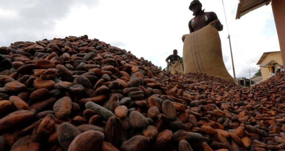 Ivory Coast Considers Raising Cocoa Prices in Response to U.S. Tariffs