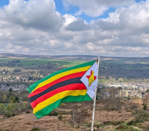 Zimbabwe Failed Protest: Where It All Began!Special Report byMellisa Sithole