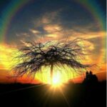 Trump Says He Urged Netanyahu to Allow Urgent Aid into Gaza Amid Deepening Crisis