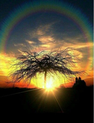 Trump Criticizes Zelensky Over Refusal to Recognize Russian Control of Crimea U.S. gov’t threatens to quit Ukraine peace talks amid Zelensky’s rejection of Crimea concessions Donald Trump Criticises Zelensky Over His Refusal to Formally Cede Crimea to Russia 'If he wants Crimea, why didn't they fight for it eleven years ago?' Efforts to end the war in Ukraine have been held up, prompting growing frustration within the U.S. government. Officials are increasingly placing blame on Ukrainian President Volodymyr Zelensky for rejecting a U.S.-backed peace proposal. [ROLL PIC-Trump post]A high-stakes meeting in London, described as a potential turning point in negotiations, failed after Secretary of State Marco Rubio and U.S. Special Envoy Steve Witkoff abruptly cancelled plans to attend. Their withdrawal came in response to Zelensky’s firm rejection of the proposal that would see Washington formally recognize Russia’s sovereignty over Crimea — given that the peninsula has been under Russian control for 11 years.