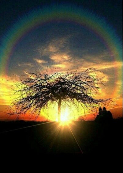 Trump Criticizes Zelensky Over Refusal to Recognize Russian Control of Crimea U.S. gov’t threatens to quit Ukraine peace talks amid Zelensky’s rejection of Crimea concessions Donald Trump Criticises Zelensky Over His Refusal to Formally Cede Crimea to Russia 'If he wants Crimea, why didn't they fight for it eleven years ago?' Efforts to end the war in Ukraine have been held up, prompting growing frustration within the U.S. government. Officials are increasingly placing blame on Ukrainian President Volodymyr Zelensky for rejecting a U.S.-backed peace proposal. [ROLL PIC-Trump post]A high-stakes meeting in London, described as a potential turning point in negotiations, failed after Secretary of State Marco Rubio and U.S. Special Envoy Steve Witkoff abruptly cancelled plans to attend. Their withdrawal came in response to Zelensky’s firm rejection of the proposal that would see Washington formally recognize Russia’s sovereignty over Crimea — given that the peninsula has been under Russian control for 11 years.