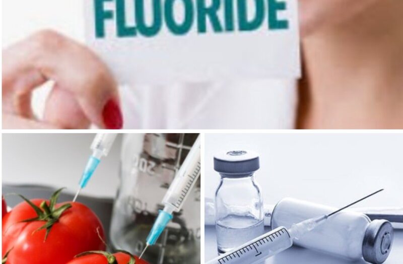 mRNA jabs Genetically Modified Foods Fluoride are Still Hoaxes
