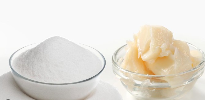 The War on Saturated Fats, and the Deception by the Sugar Industry