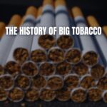 Putin Meets Global Leaders in Moscow Ahead of Victory Day Celebrations