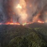 U.S. Court Blocks Most of Trump’s Broad Tariff Orders