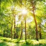 Iranian Missile Strike Hits Beersheba Hospital Amid Escalating Israel–Iran Conflict