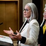 Polish Prime Minister Urges Far-Right Vigilantes on German Border to Stand Down