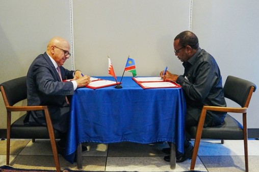 Namibia and Egypt to Revive Bilateral Ties at TICAD Summit