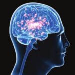 The Progress in Autism Causation Discourse