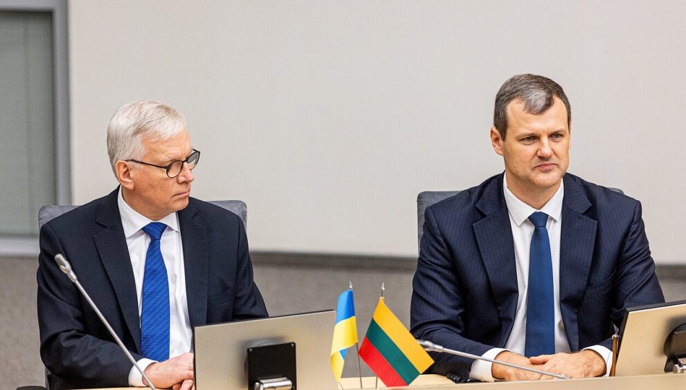 Lithuania’s Finance Minister to Head Interim Government