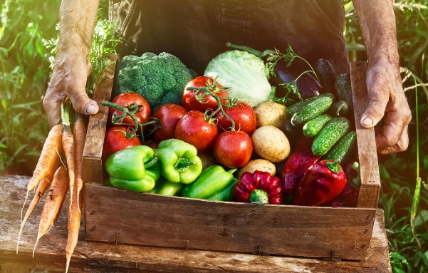 7 Areas Targeted by Globalists: Food & Agriculture