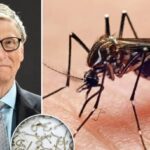 Russia Warns West Over NATO Pressure on Serbia