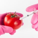 South Korea Launches New Trial Against Former President Yoon Over Failed Martial Law Attempt