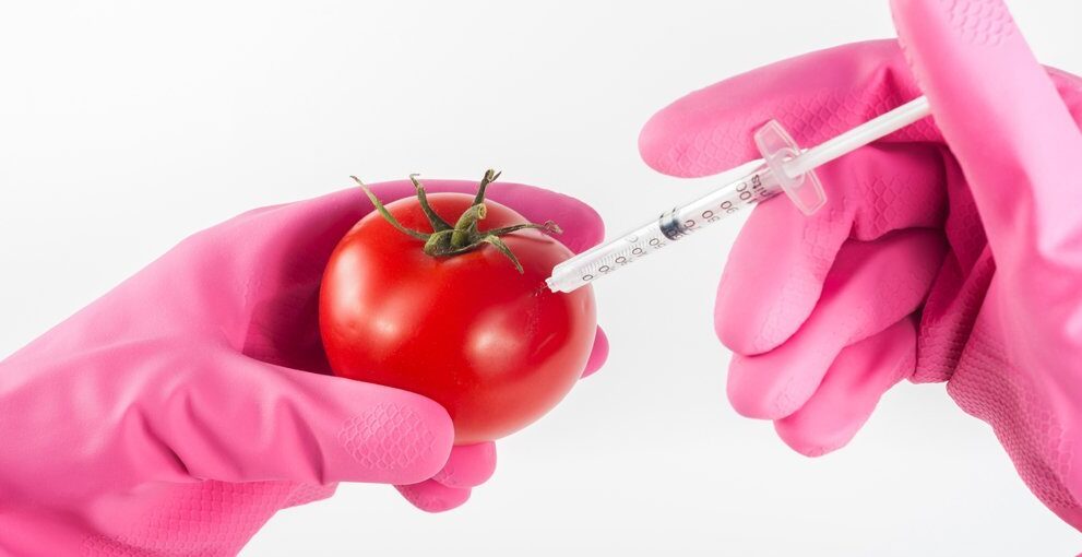 The War Room: Genetically Modified Crops, Government Mandate and the Law