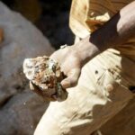 Trump and Zelenskyy to Meet at UN General Assembly as Ukraine Pushes Global Diplomacy