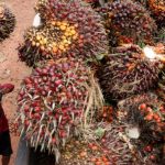 UK Prime Minister Keir Starmer Faces Heat in Parliament over Grooming Gangs Inquiry