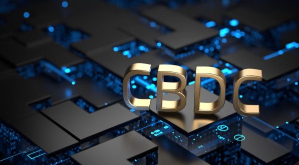 The Diabolical Globalist Plot: CBDCs and Digital IDs as the Shackles of Enslavement