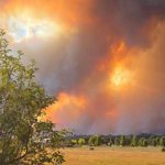 US Officially Leaves the World Health Organization.