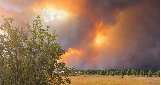 Australia Heatwave Raises Bushfire Threat as Melbourne Braces for Hottest Day in 17 Years