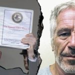 IEA Proposes Record Release of Strategic Oil Stocks to Stabilize Global Markets