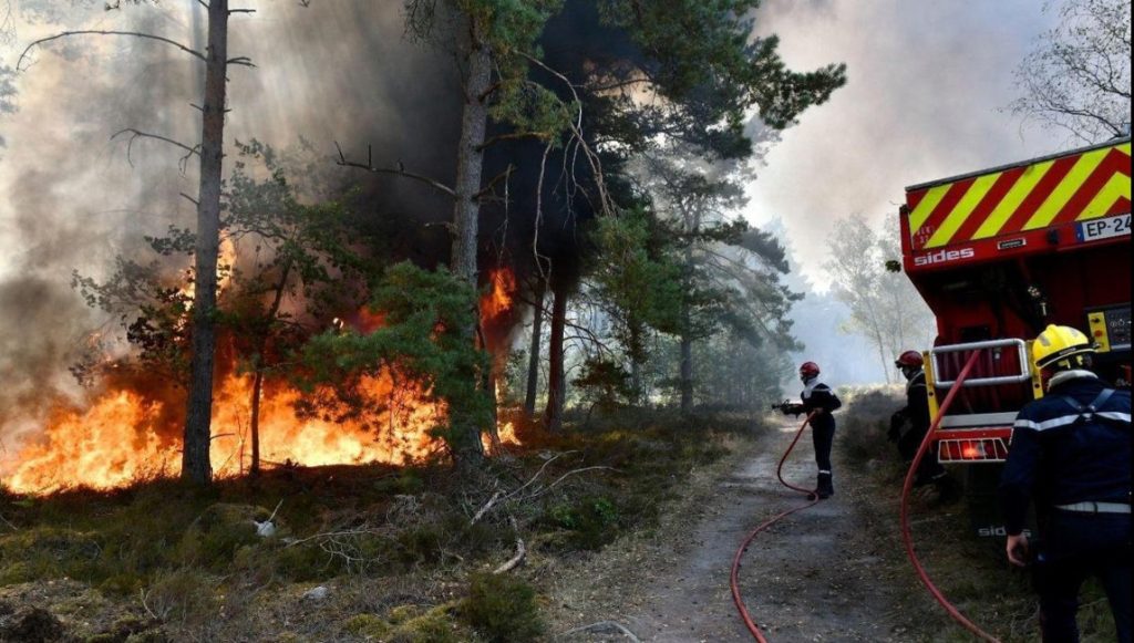 Residents Evacuated as Massive Blaze Sweeps Through Fontainebleau Forest Paris