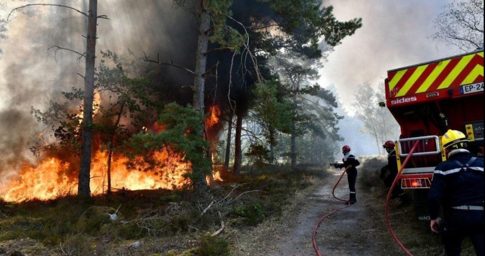 Residents Evacuated as Massive Blaze Sweeps Through Fontainebleau Forest Paris
